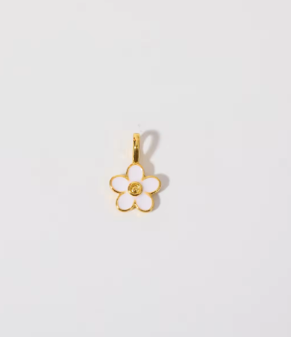 Gold Combinations (Additional Charms )